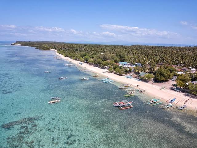 Mangrove forest view 4