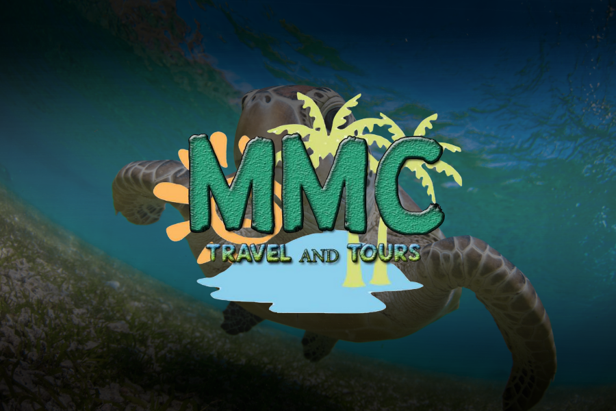 Travel package options